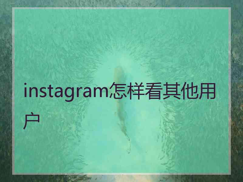 instagram怎样看其他用户
